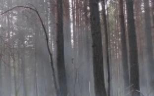 С 4 июля в Свердловской области отменят особый противопожарный режим