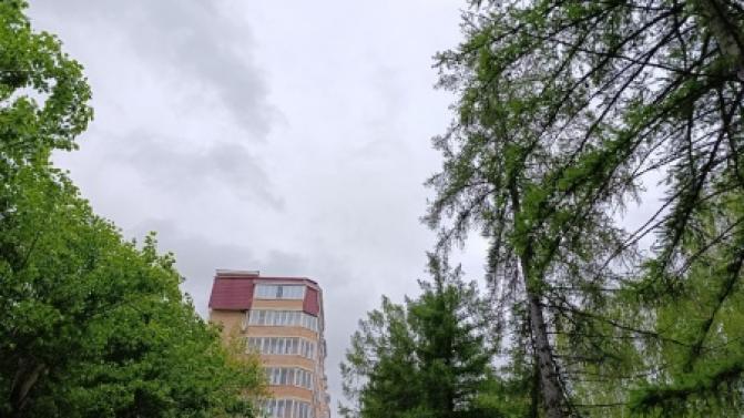 Рабочая неделя в Первоуральске будет тёплой, но дождливой