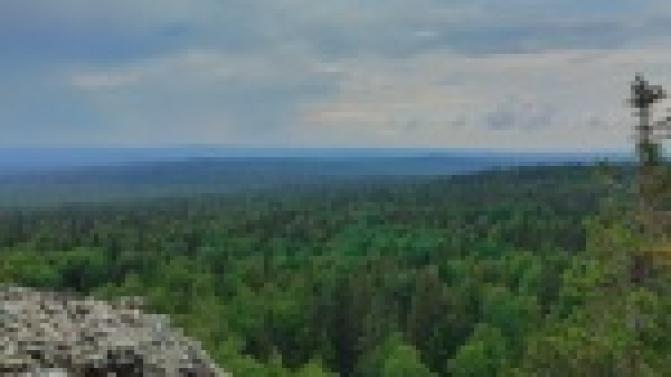 Рабочая неделя в Первоуральске будет прохладной и дождливой