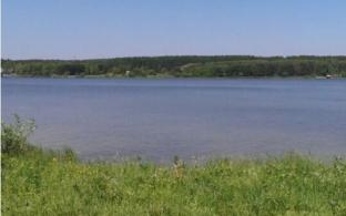 Всего семь пляжей в Свердловской области пригодны для купания