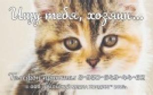 Ищу тебя, хозяин