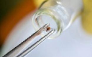 11 тысяч случаев присасывания клещей зарегистрировано в Свердловской области с начала сезона