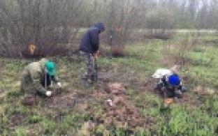 Подняли останки двадцати солдат и нашли артефакты времён Великой Отечественной войны