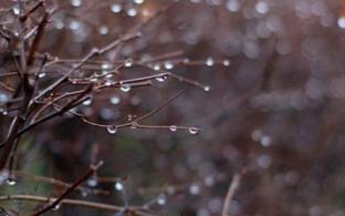 Рабочая неделя в Первоуральске будет прохладной