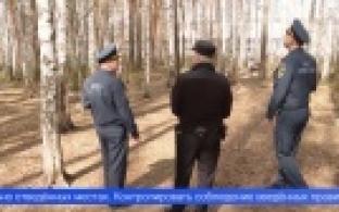 Уже с завтрашнего дня на территории Свердловской области будет введён особый противопожарный режим