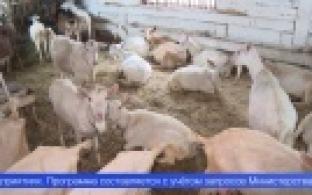 В Свердловской области завершился очередной поток проекта «Школа фермера»