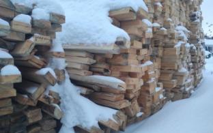 Объём незаконных рубок в лесах Свердловской области в 2024 году сократился
