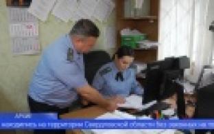 Свыше 4 тысяч нелегальных мигрантов выдворили с территории Свердловской области