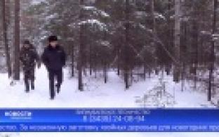 Минприроды Свердловской области усилит патрулирование лесов в преддверии новогодних праздников