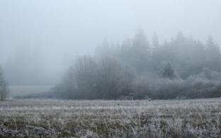 В выходные в Первоуральске немного похолодает