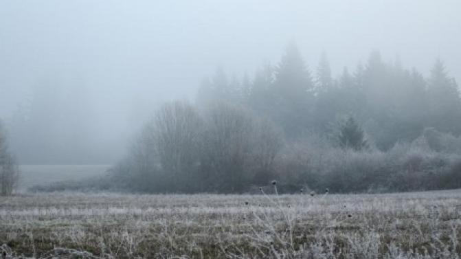 В выходные в Первоуральске немного похолодает