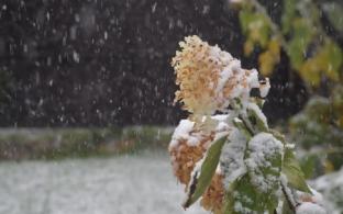 Выходные в Первоуральске будут прохладными