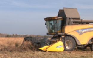 Когда лучший день для уборки – знают первоуральские аграрии – уборочная кампания уже почти завершена