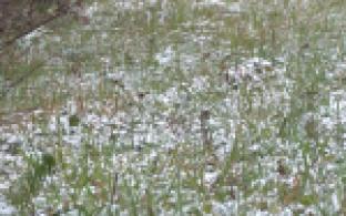 Уральские синоптики предупреждают о резкой смене погоды