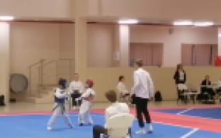 Первоуральские тхэквондисты завоевали награды открытого Первенства Верхней Пышмы