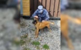 В башкирских СИЗО и колониях будут служить щенки из первоуральского племенного питомника ГУФСИН