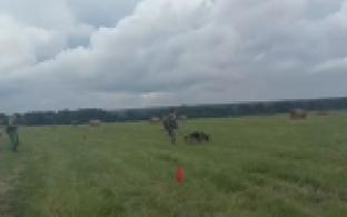 Сотрудники первоуральского управления по конвоированию одержали победу в 3 этапе соревнований среди групп преследования беглецов