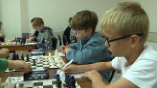 Двойной удар, связка и отвлечение. Речь о шахматных комбинациях