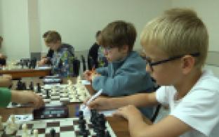 Двойной удар, связка и отвлечение. Речь о шахматных комбинациях