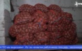 Уборочная кампания в Первоуральске – в самом разгаре