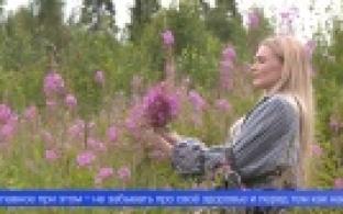 На сбор трав сегодня отправились первоуральцы