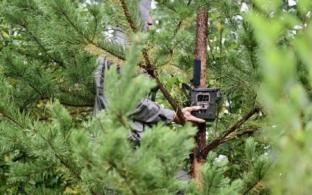 140 фотоловушек установят в лесах Свердловской области