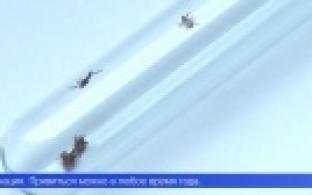 128 уральцев госпитализировано в стационары с подозрением на клещевой вирусный энцефалит