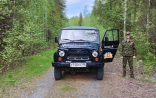 Площадь лесных пожаров в Свердловской области сократилась за выходные дни в 10 раз