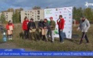 Первоуральцы стали серебряными призёрами всероссийского «Кубка Чистоты»