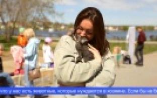 Бездомные животные выступили в роли фотомоделей