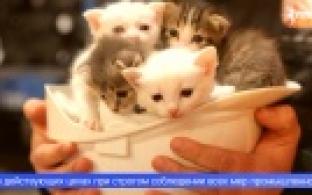 Необычная фотовыставка под открытым небом открылась в Первоуральске