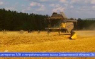 До восьми миллионов рублей – начинающим сельхозпроизводителям