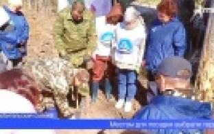 Первоуральск присоединился к ежегодной международной акции «Сад памяти»