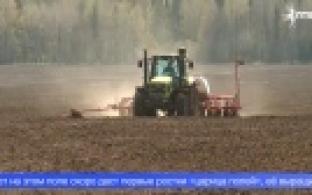 Посевная кампания в Свердловской области идёт в усиленном темпе