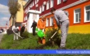 Более 70 деревьев высадили первоуральские металлурги