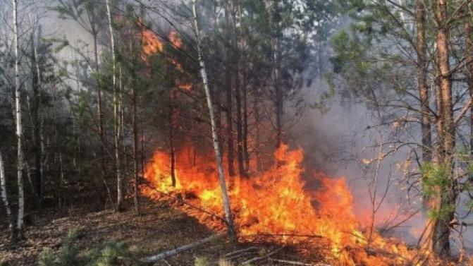 Пожароопасный сезон объявлен в Свердловской области с 5 апреля