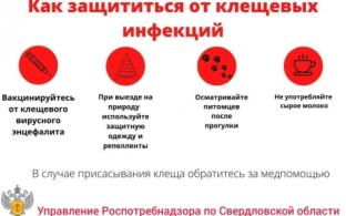 На Среднем Урале начался клещевой сезон