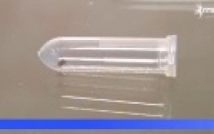 Первоуральцы могут привиться от клещевого энцефалита