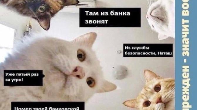 Правоохранители предупреждают: выявлена новая схема мошенничества