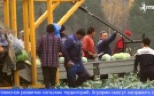 Более пяти миллиардов рублей – на поддержку аграриев