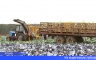 Уральские аграрии получат субсидии на приобретение техники