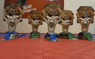 Первоуральске каратисты привезли 5 медалей с Международных соревнований