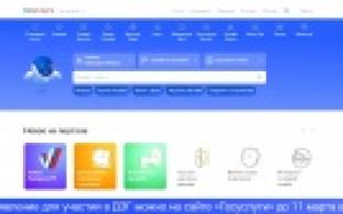 На выборах президента России будет работать дистанционное электронное голосование