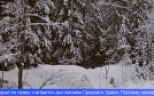 В Свердловской области будет усилено патрулирование лесов