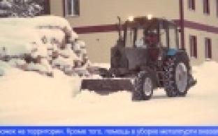 Новогоднее чудо для детей и православных верующих