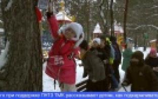 Помочь пернатым пережить холода решили первоуральцы