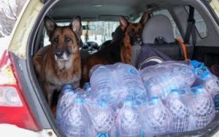 Волонтёры доставляют воду отдельным категориям жителей Первоуральска