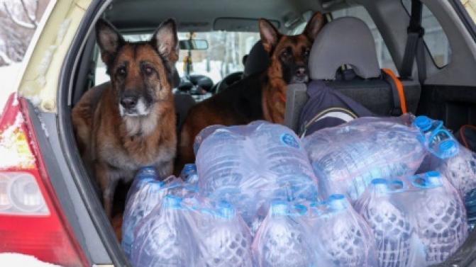 Волонтёры доставляют воду отдельным категориям жителей Первоуральска