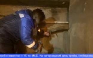 О текущей ситуации с качеством воды и проводимых работах рассказал директор "Водоканала"