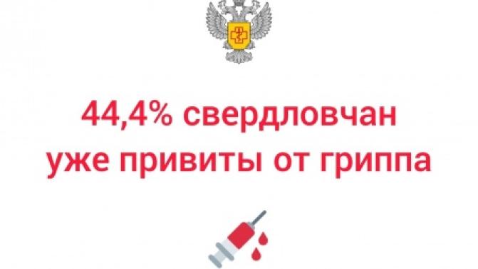 В регионе продолжается кампания по вакцинопрофилактике гриппа